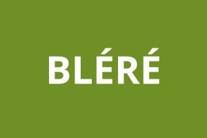 Agence CAF BLÉRÉ