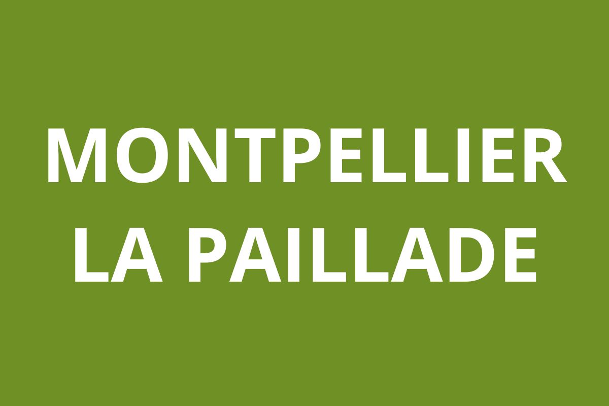 Agence CAF CAF MONTPELLIER La Paillade