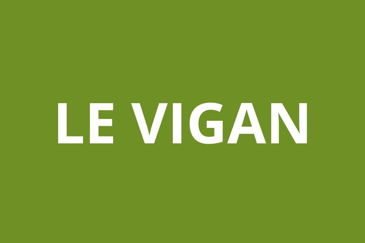 Agence CAF LE VIGAN