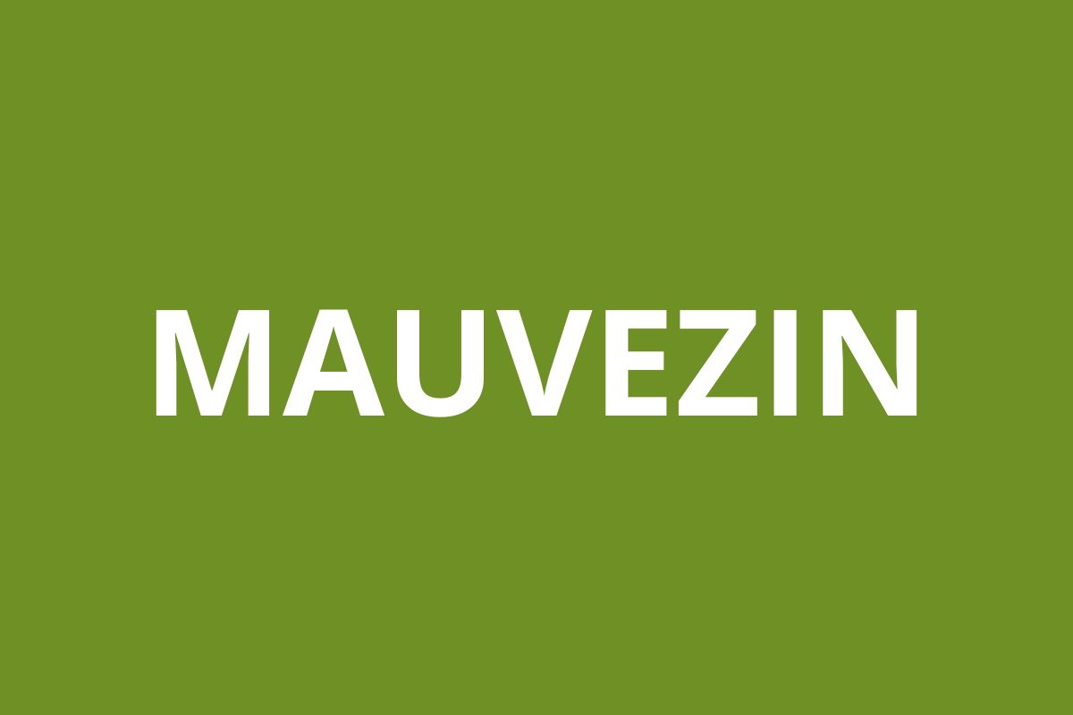 Agence CAF MAUVEZIN