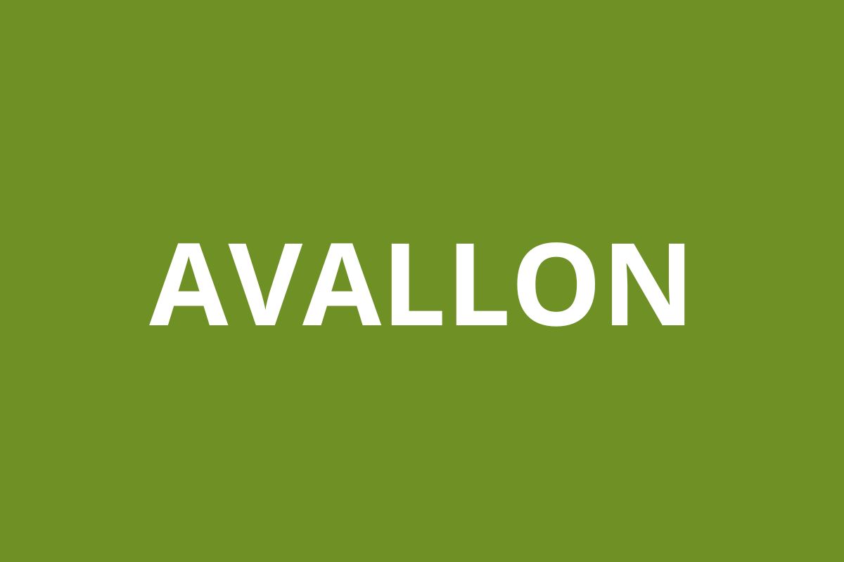 agence CAF AVALLON