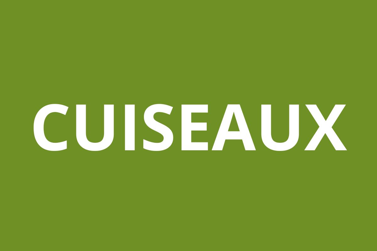 Agence CAF CUISEAUX