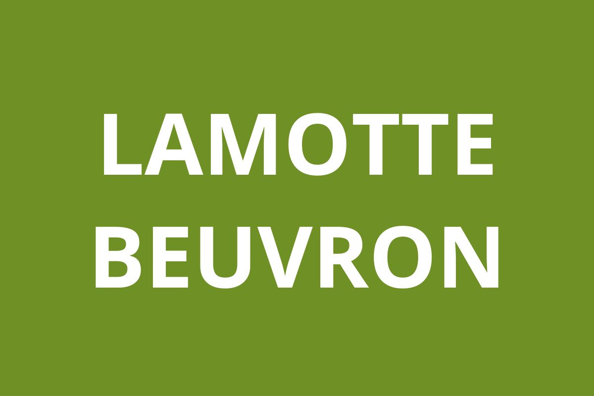 Agence CAF LAMOTTE BEUVRON