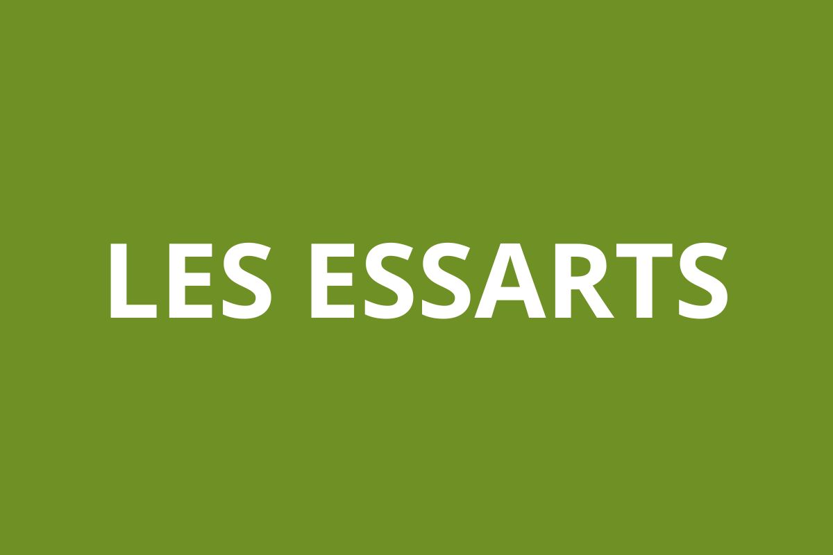 Agence CAF LES ESSARTS