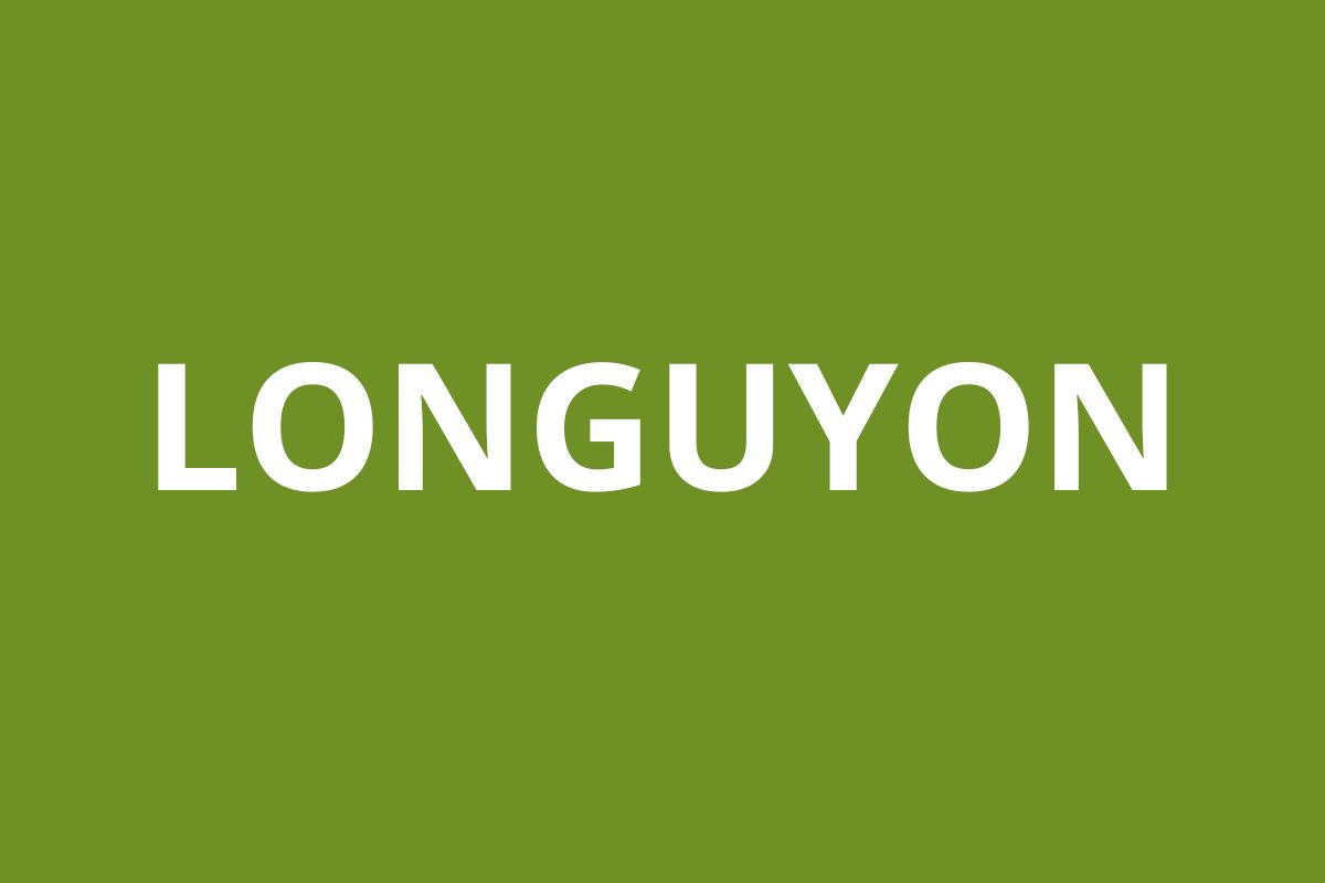 Agence CAF LONGUYON