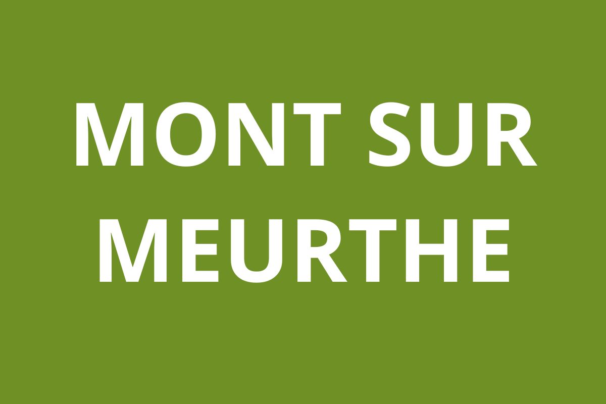 Agence CAF MONT SUR MEURTHE