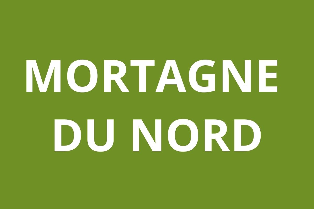 agence CAF MORTAGNE DU NORD logo