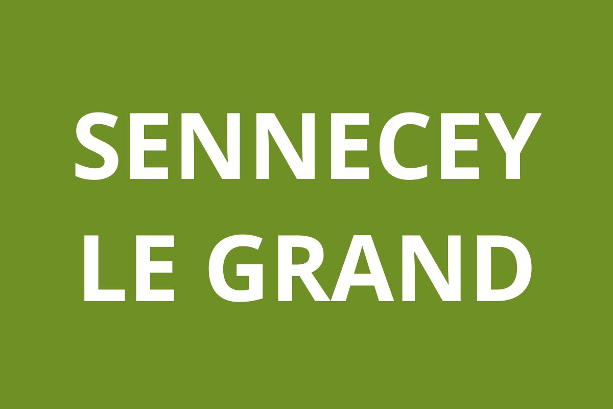 Agence CAF Sennecey-le-Grand