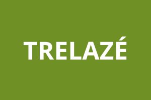 Agence CAF TRELAZÉ