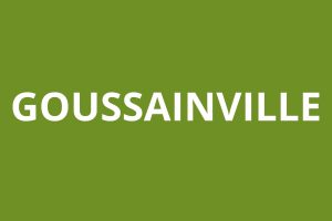 logo agence CAF GOUSSAINVILLE