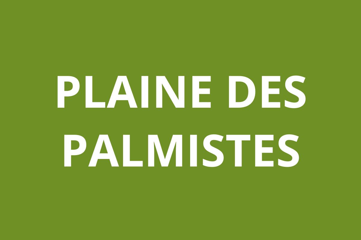 Agence CAF PLAINE DES PALMISTES