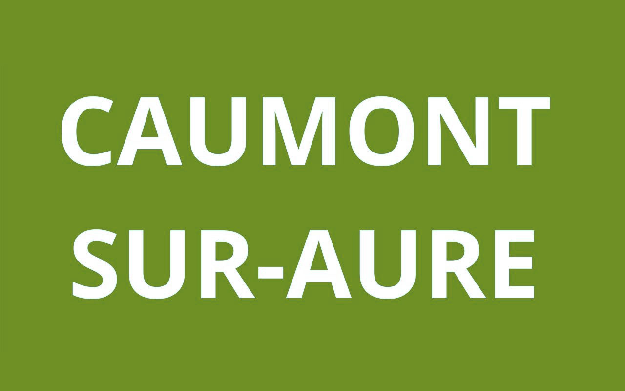 caf caumont sur aure