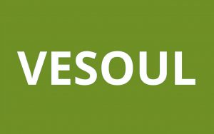 LOGO CAF VESOUL