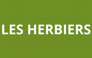 CAF LES HERBIERS