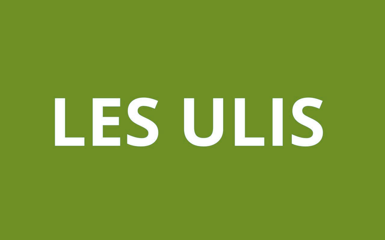 caf LES ULIS