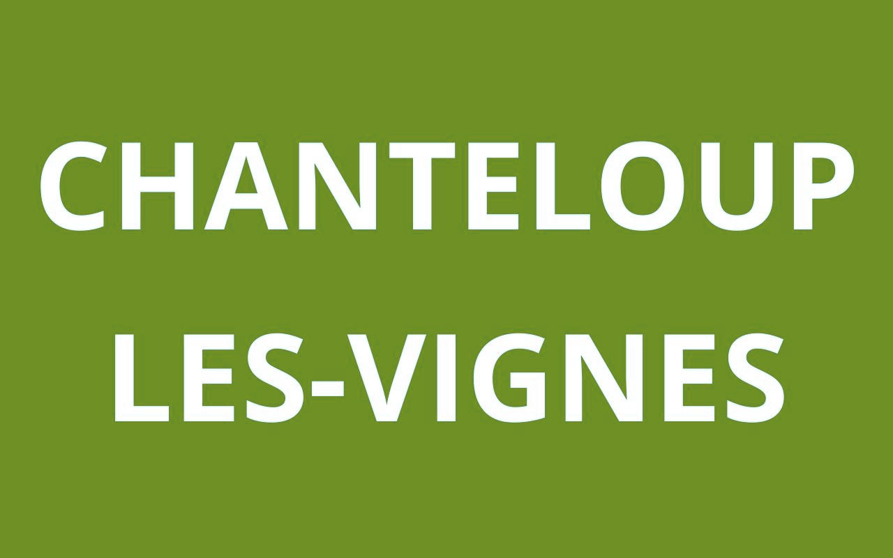 CAF CHANTELOUP-LES-VIGNES