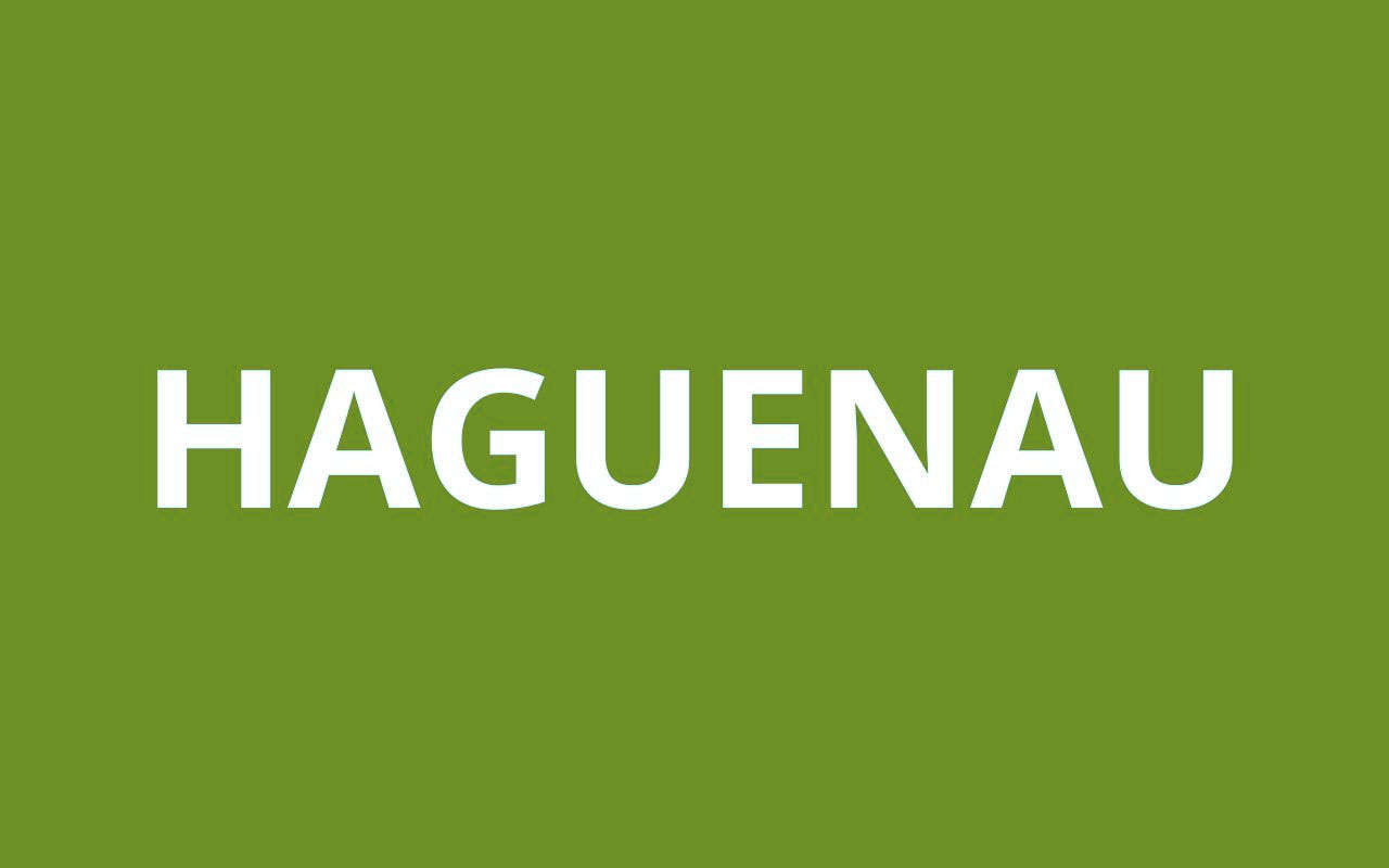 CAF HAGUENAU